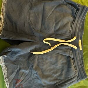 American Eagle Outfitters Men’s Blue Shorts